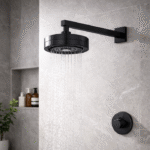 Ducha Chuveiro Autolimpante Acqua Clean Redondo de Parede Longo Preto Inox 201